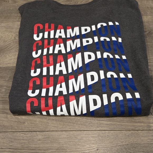 Champion Gray T-Shirt with Multicolor Logo - Picture 2 of 4